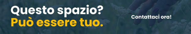 Sponsor