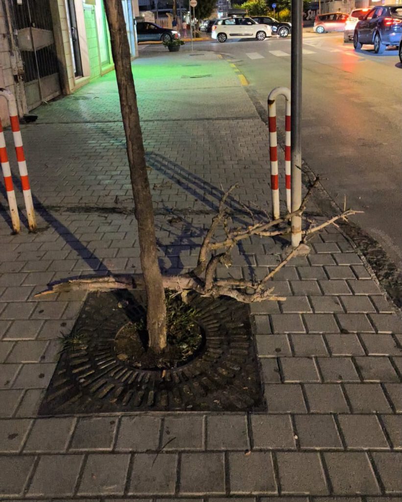 albero vandalizzato via Leopardi